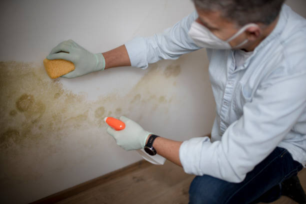 Water Damage Restoration in San Fernando, CA