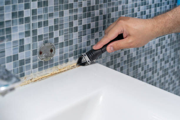 Best Mold Removal Specialists  in San Fernando, CA
